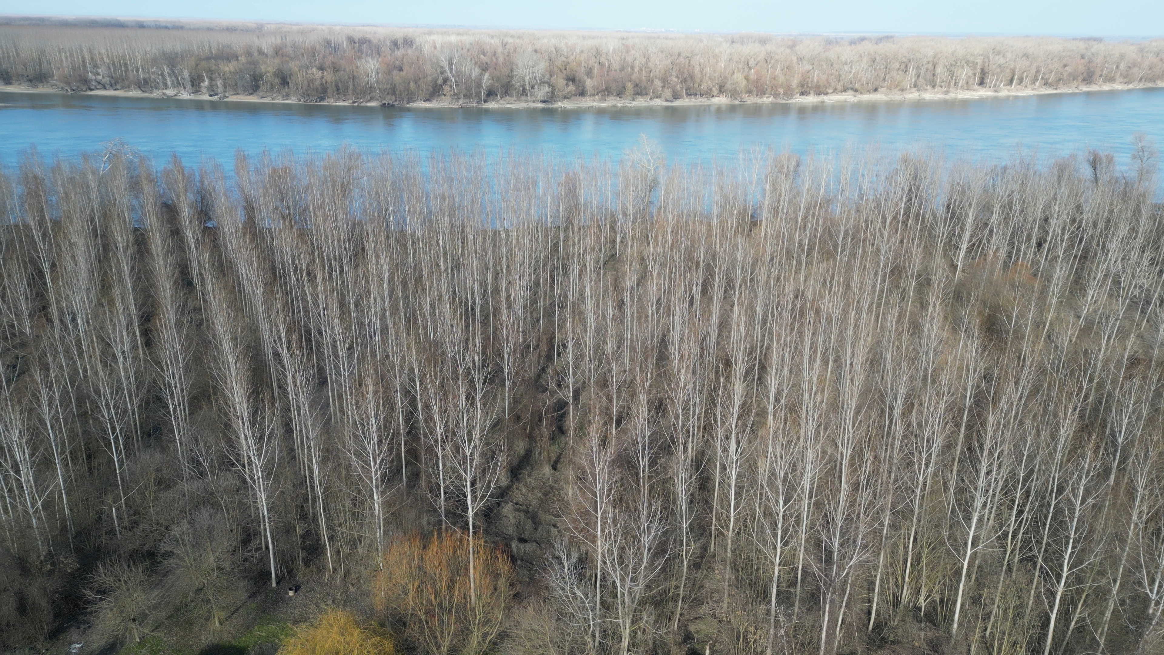 Vikendica okružena šumom uz Dunav